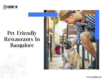 Bangalore’s Culinary Gems: A Guide to Pet-Friendly Restaurants in Bangalore